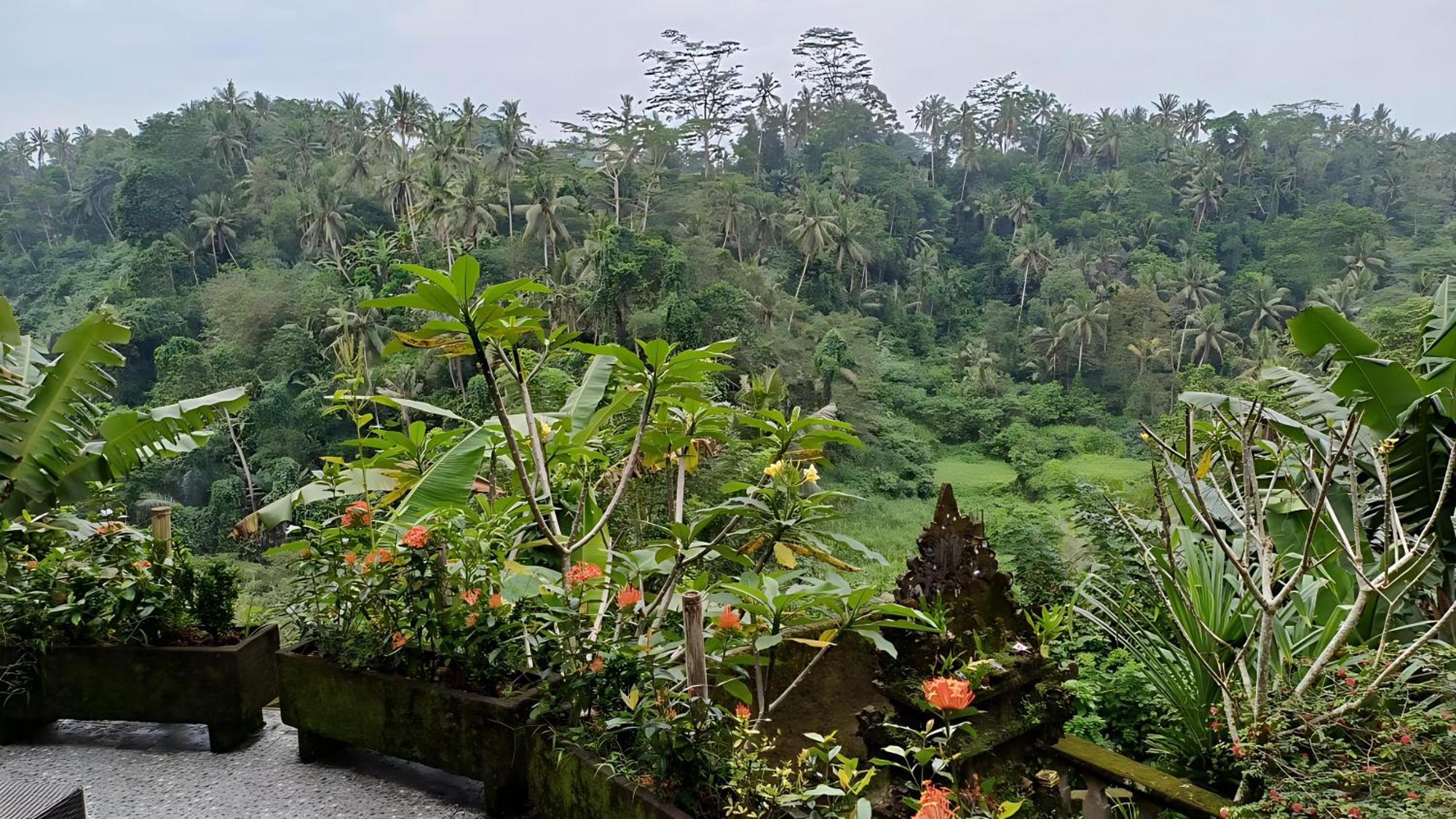 Vakantiepark Tirta Asri