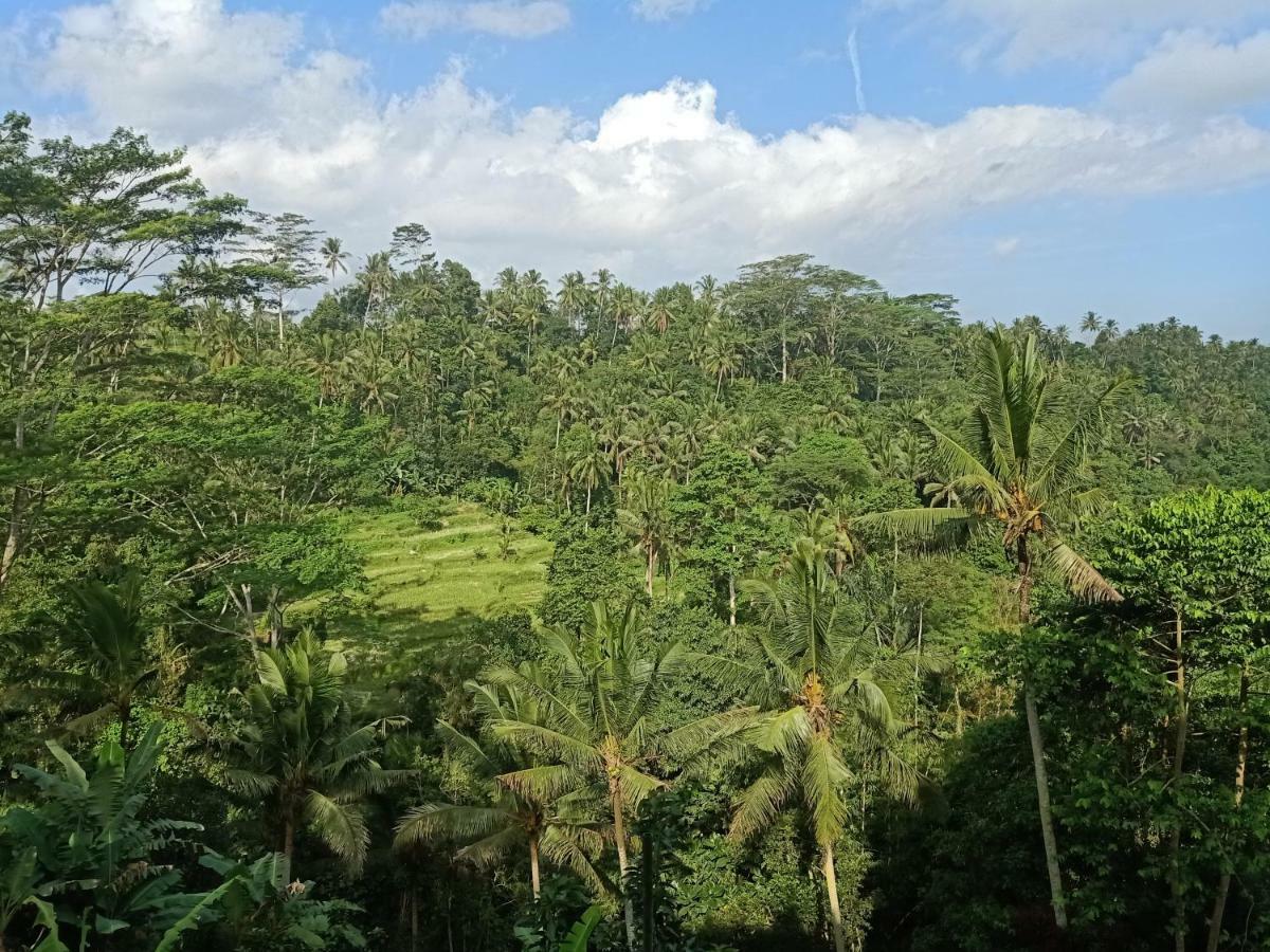 Tirta Asri Vakantiepark Ubud