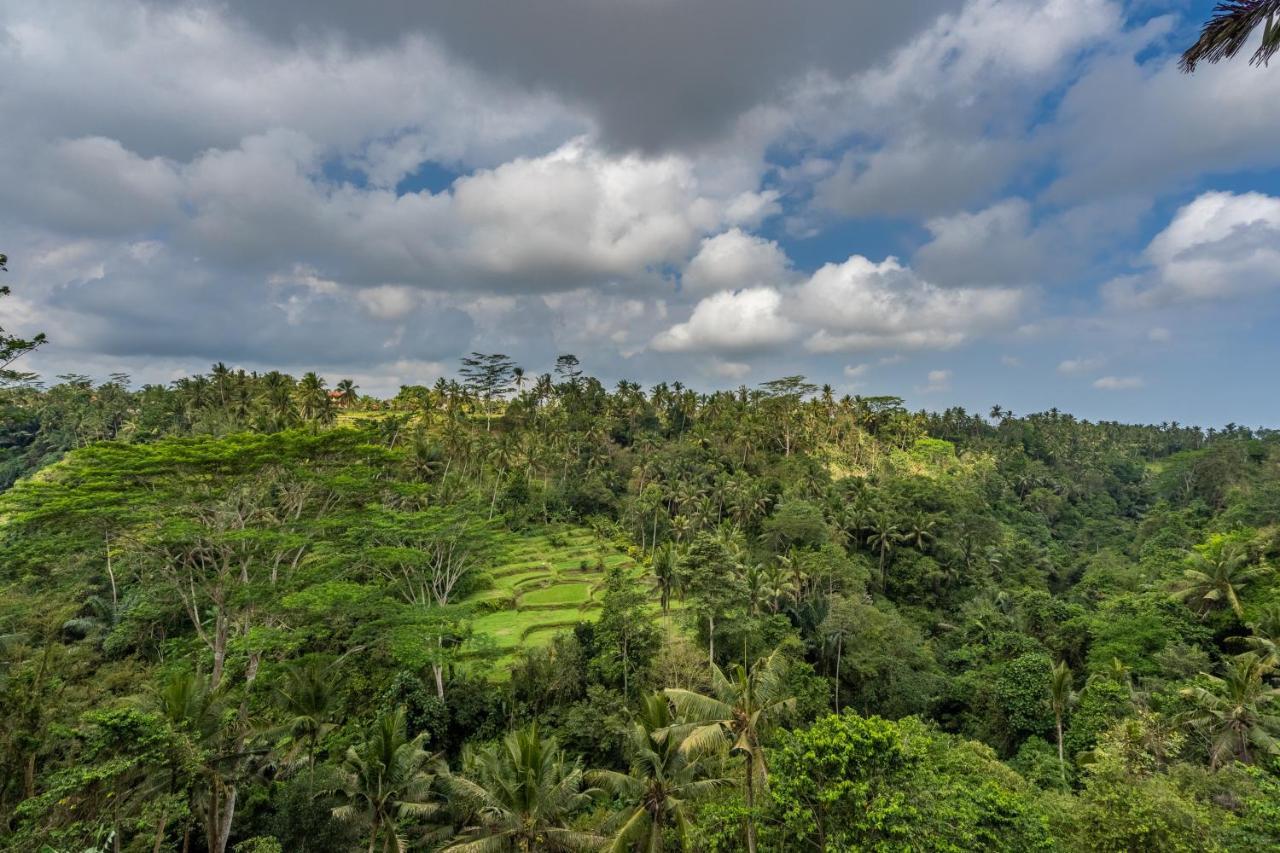 Vakantiepark Tirta Asri Ubud